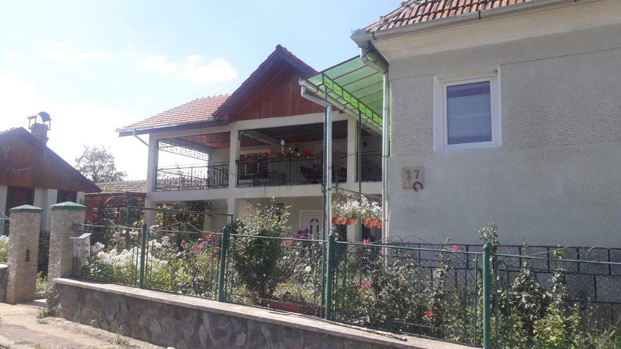 Casa Maria Retezat Guest House Nucsoara  Bagian luar foto